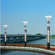  中山崟谷彩燈廠 主營 圣誕燈,節日燈,圣誕