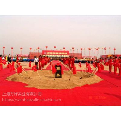 一站式專業(yè)慶典服務(wù) 品質(zhì)搭建、設(shè)備租賃與成本優(yōu)化