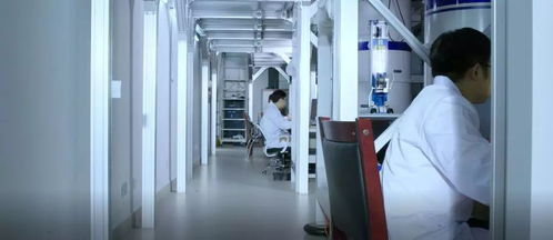 創新驅動，服務升級 本源量子計算機制造廠信息技術咨詢服務再上新臺階